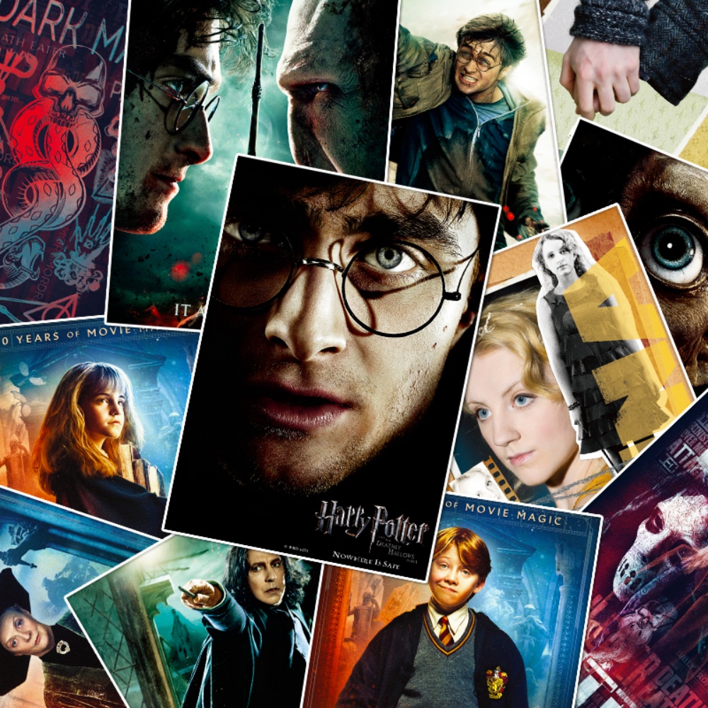 Oryginalny plakat Harry Potter – Home Improvement Tv Show recenzja i cena